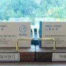 스테이만디 이미지