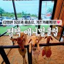 청원로 | 평택 애니멀클럽 후기 다양한 동물과 파충류, 그리고 키즈카페까지! 아이들과 신나게