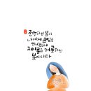 2023년 대림시기 묵상집(함께 기다리며...) - 12월 8일 한국 교회의 수호자, 원죄 없이 잉태되신 복되신 동정 마리아 대축일 이미지