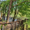 치악골프연습장 이미지