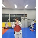 합성태권도 | 다시 써보는 성인 태권도 초보 2025 여름 업데이트