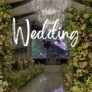 더메르 | W3. 광주 웨딩홀 암행투어 후기｜드메르·글로리아·JS·더시그너스·까사디루체 웨딩홀 직접 보고 느낀...