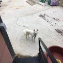 웅이민박 이미지