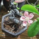 남천셀프세차장 이미지