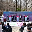 제32회 여수영취산진달래축제 이미지