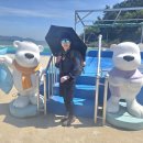 해남군-03 이미지