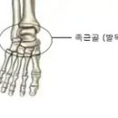 네일로153 이미지