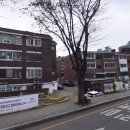 부평금성 이미지