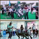 강남구청 이미지