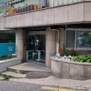 조이풀독 이미지