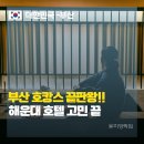 해운대관광리조트(LCT) | [해운대 가족숙소] 아늑 리조트앤스파 부산 해운대점, 대형 5성급 부럽지 않은 찐 만족 후기