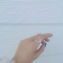 공블리 (Gongvely)