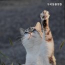 두리동물병원 이미지