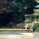 한국전쟁 진주지역 이미지