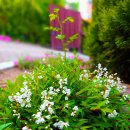 새하양세탁소 이미지