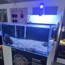 전라남도 농업박물관(테마공원 이동식 화장실) | 521농업생태체험장 방문기! TV 생물도감 희귀 곤충 파충류 가득한 아이와 가볼 만한 곳