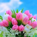 Whitney Houston/Love Will Save the Day 이미지