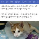 영영상회 네이버블로그