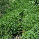 양선농장 이미지