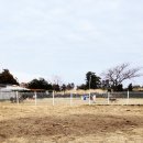 제주애견카페 초록동산 이미지