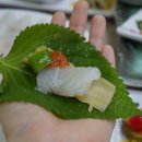 죽도야채 이미지