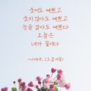 오늘도 예쁘다 이미지