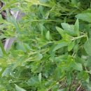 송암농장 이미지