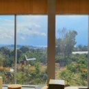 소영이네 이미지