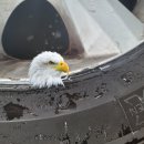 동아자동차정비 이미지