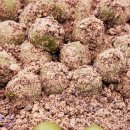 맛고을떡집 이미지