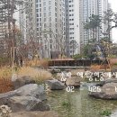 Yes공인중개사사무소 이미지