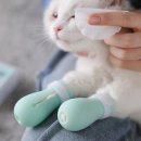 앨리스&고양이발톱