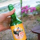 동화카라반 네이버블로그