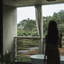 스테이 무어 이미지