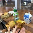 우리들일산점 이미지