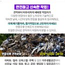 삼진비철 이미지
