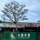 푸른솔조경