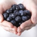 성모흉부외과의원 이미지