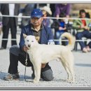 백*수