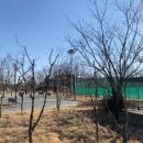 양지근린공원 테니스장 이미지