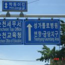 순천만여행 이미지