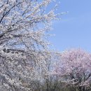 부천로264번길 이미지