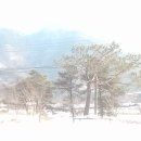 솔롱고