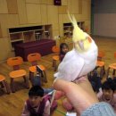 늘품자연유치원 이미지