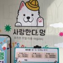 사랑한다, 멍 이미지