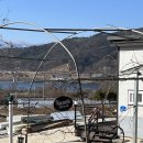 사랑나무민박 이미지