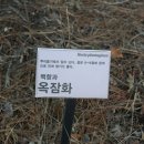 달커뮤니케이션(주)