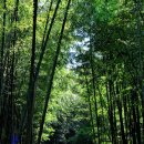 송죽농장 이미지