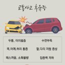 도곡교통 이미지