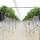 우공농장 이미지